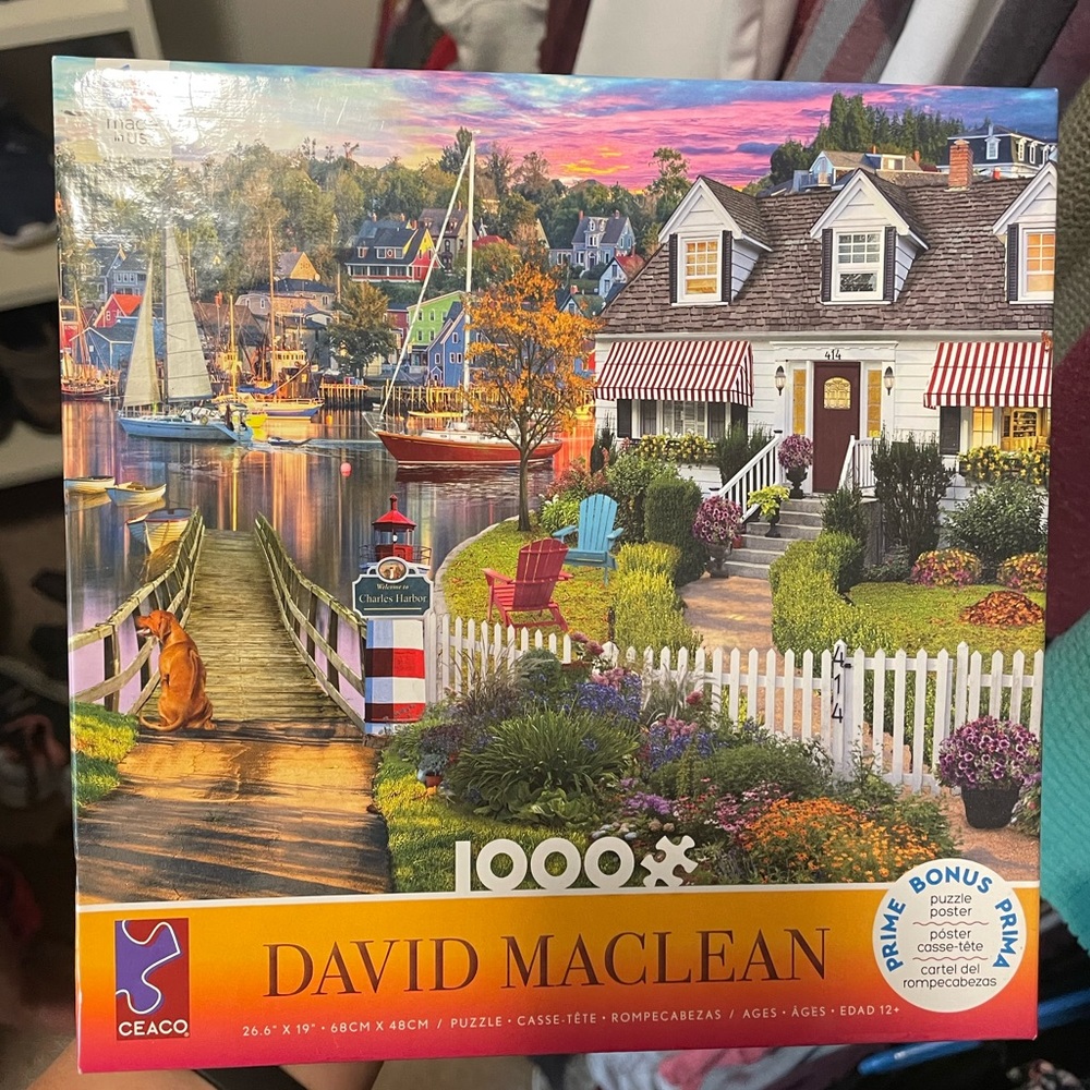 2 1000pc puzzles in excellent condition